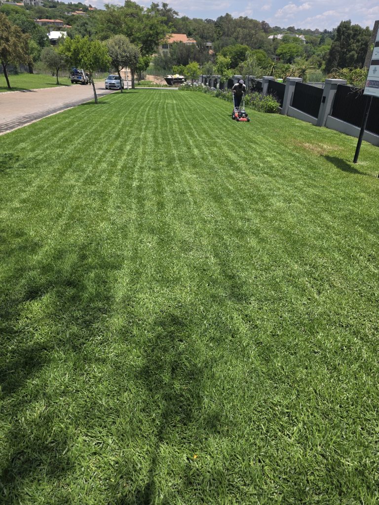 Landscaping-services-in-Pretoria-jpg