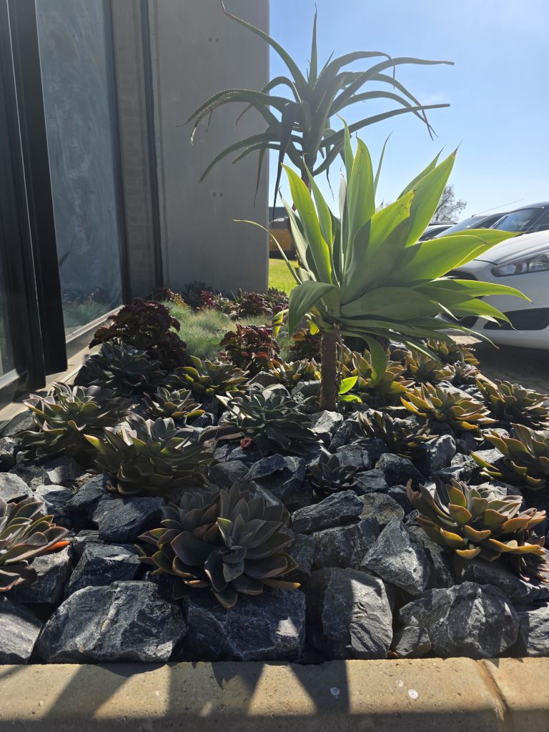 waterwise-landscape-vep-landscapers-jpg