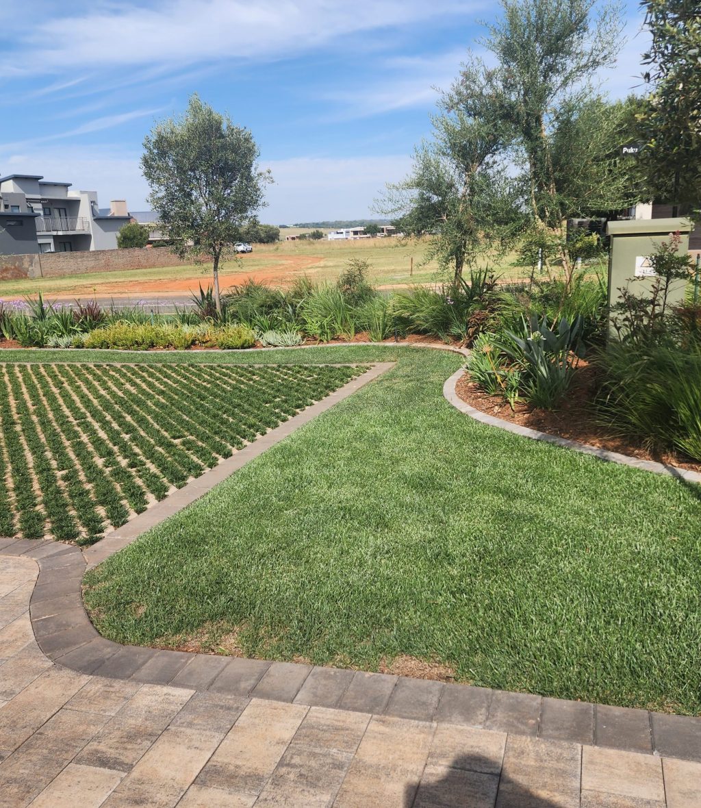 grass-blocks-image-done-by-vep-landscapers-jpg