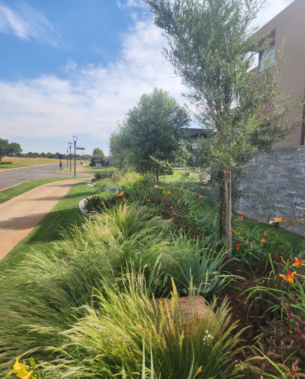 Serengeti-Estate-landscaping-by-Vep-Landscaping-jpg