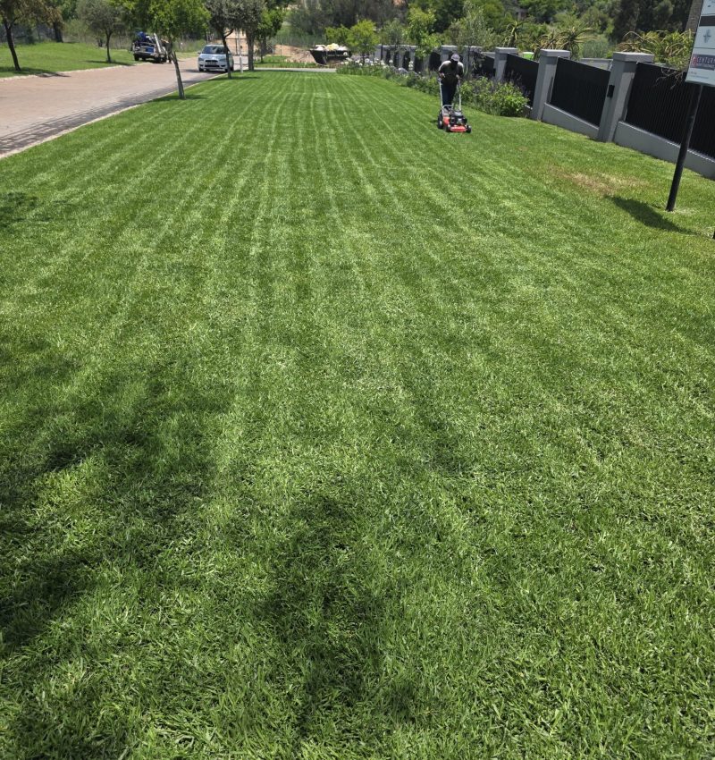 Landscaping-services-in-Pretoria-jpg