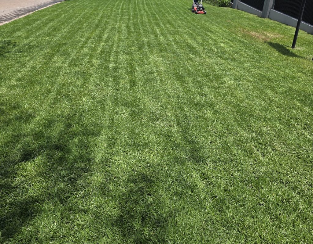 Landscaping-services-in-Pretoria-jpg