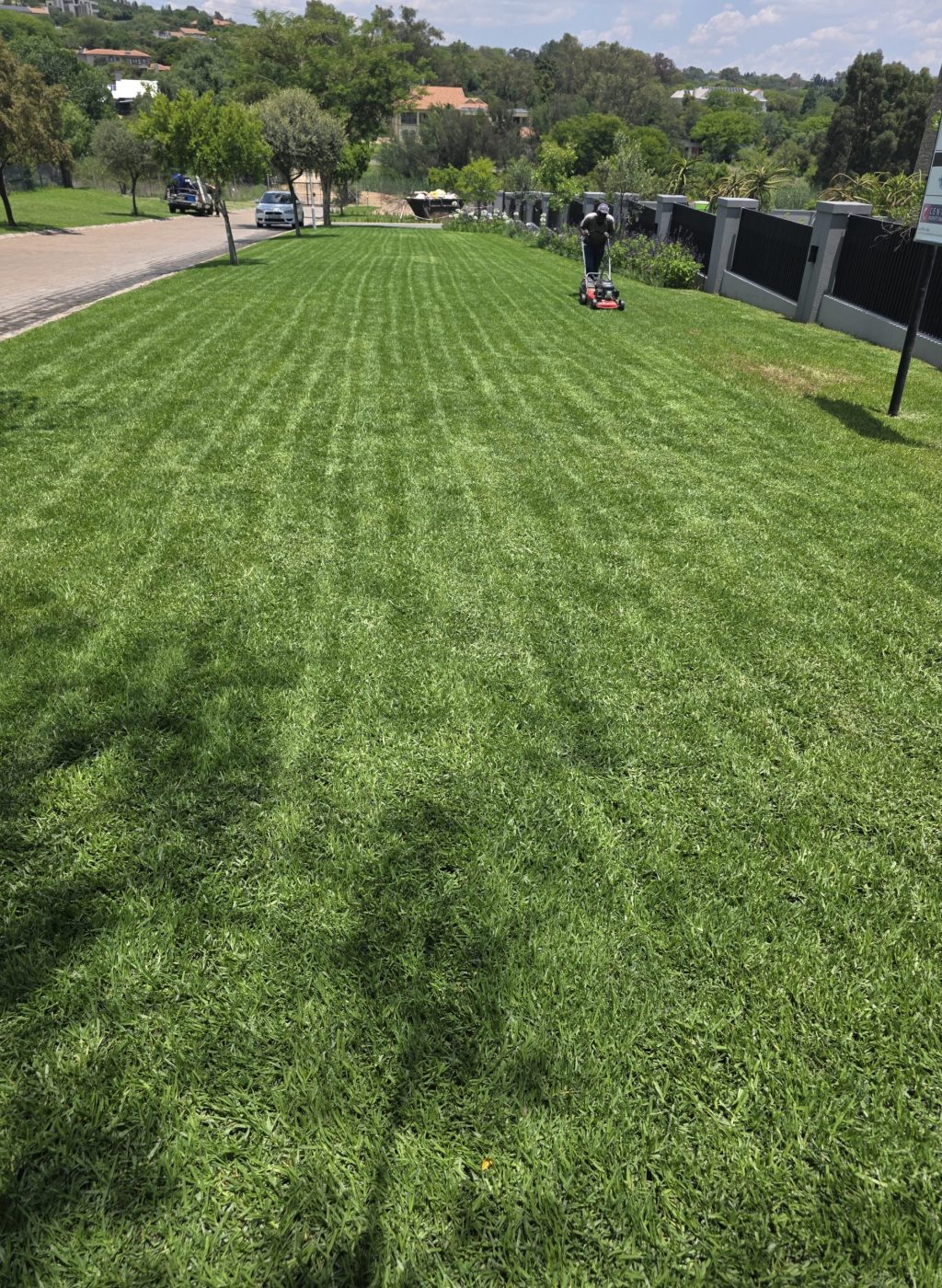 Landscaping-services-in-Pretoria-jpg