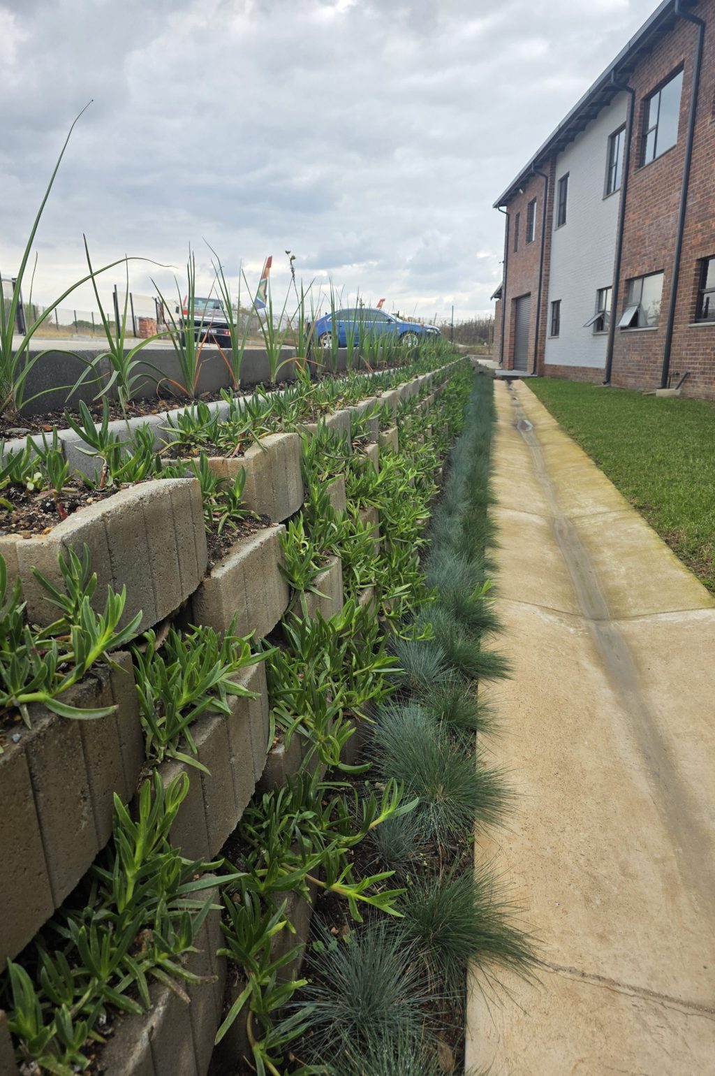 commercial-landscaping-by-Vep-Landscapers-jpg