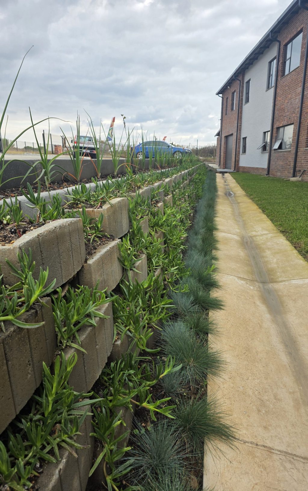 commercial-landscaping-by-Vep-Landscapers-jpg