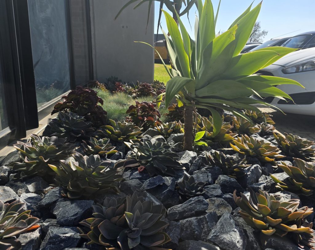 waterwise-landscape-vep-landscapers-jpg