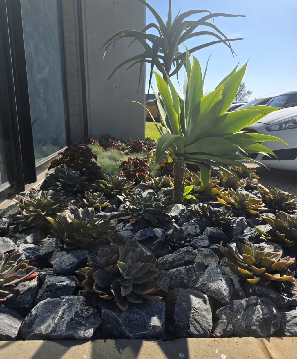 waterwise-landscape-vep-landscapers-jpg