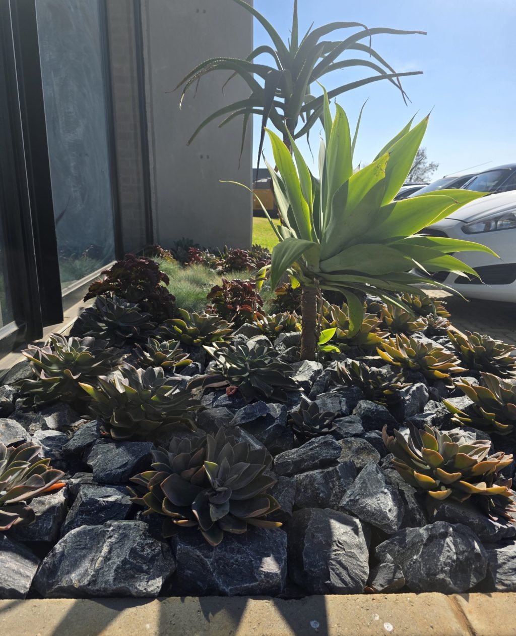 waterwise-landscape-vep-landscapers-jpg