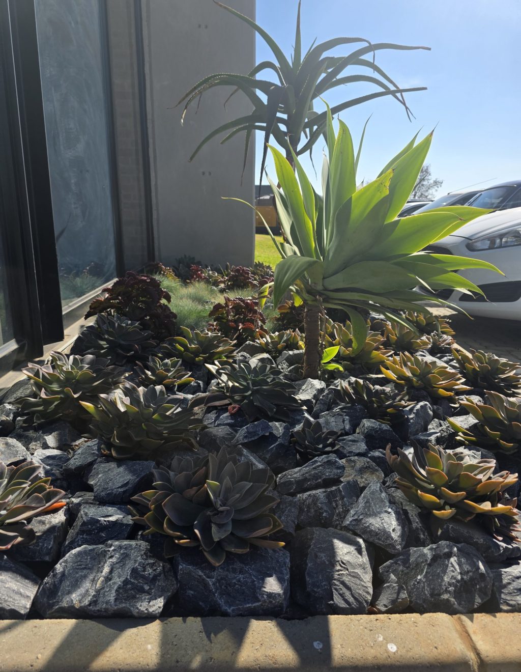 waterwise-landscape-vep-landscapers-jpg