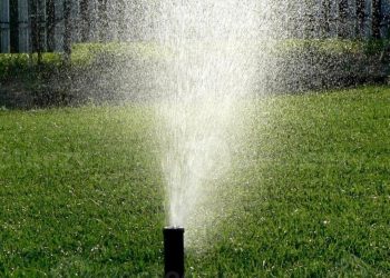 irrigation-sprinkler-by-Vep-Landscapers-jpg
