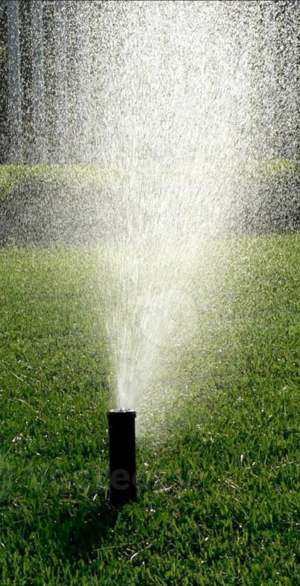 Automated-irrigation-sprinkler-by-Vep-Landscapers-jpg