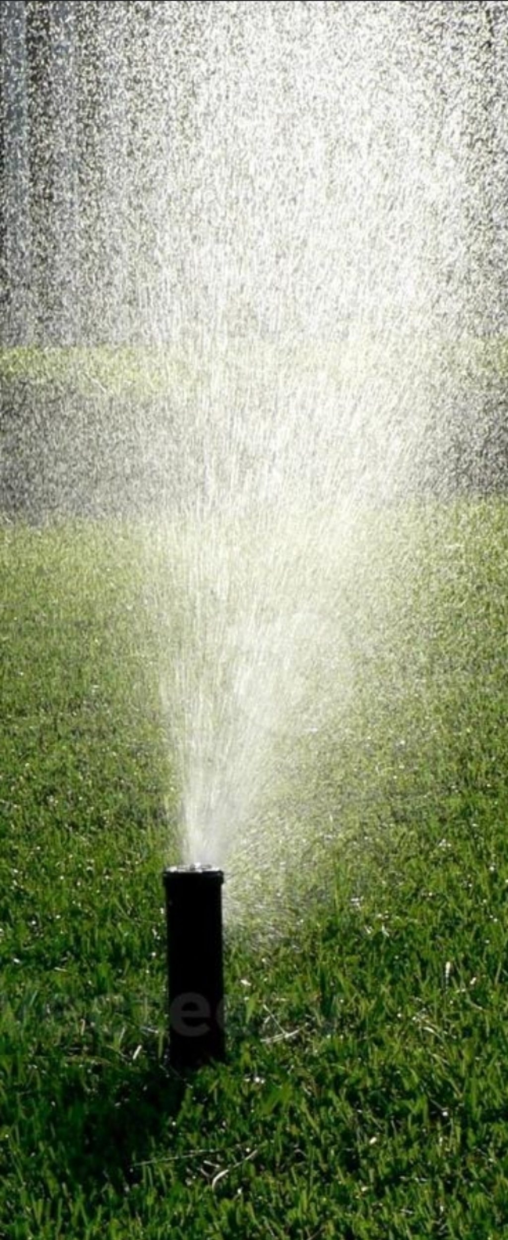 Automated-irrigation-sprinkler-by-Vep-Landscapers-jpg