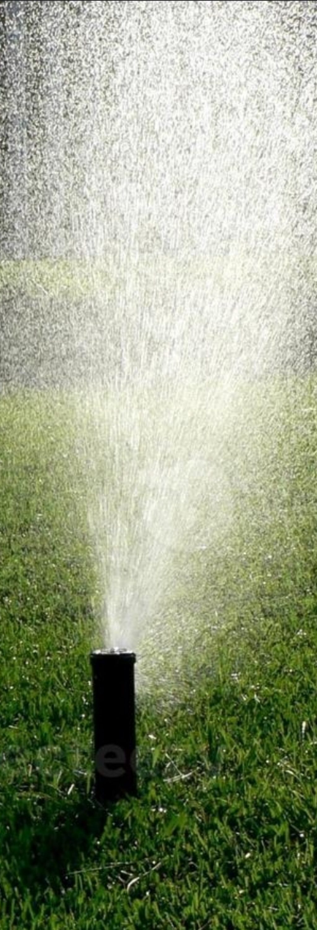Automated-irrigation-sprinkler-by-Vep-Landscapers-jpg