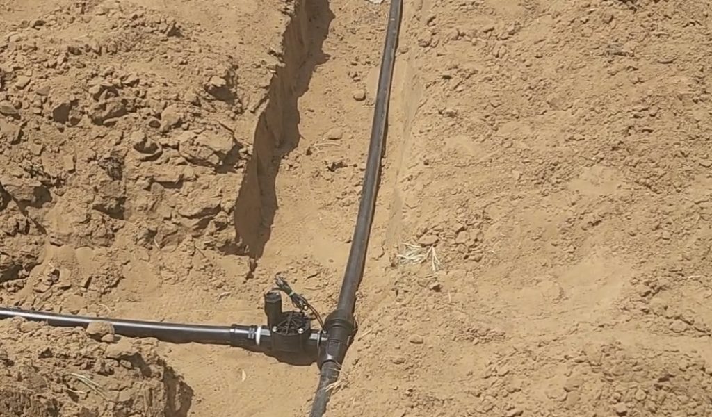 before-irrigation-system-installation-jpg